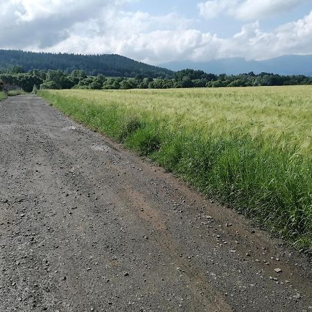 Domki Sowi Kamien Lomnica  Exterior photo
