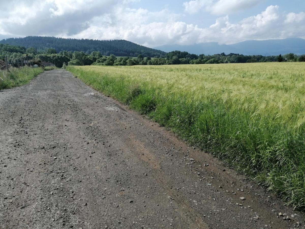 Domki Sowi Kamien Lomnica  Exterior photo